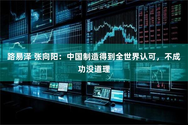 路易泽 张向阳：中国制造得到全世界认可，不成功没道理