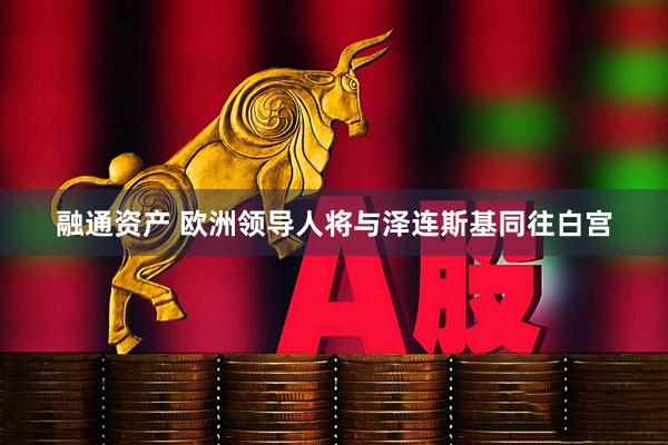 融通资产 欧洲领导人将与泽连斯基同往白宫