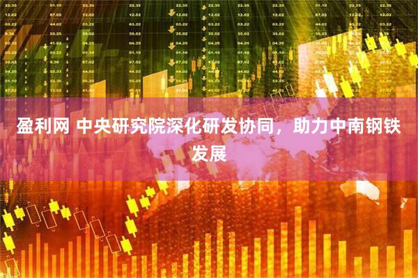 盈利网 中央研究院深化研发协同，助力中南钢铁发展